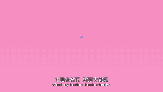 16集親子互動英語動畫《TreeTop Family》網(wǎng)盤下載