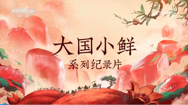 央視紀(jì)錄片《大國小鮮—石榴說》全集網(wǎng)盤下載